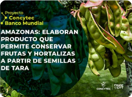 Elaboran producto que permite conservar frutas y hortalizas a partir de semillas de tara