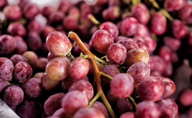 Entre el 10% y  13% podría crecer exportación de uvas  el  2020