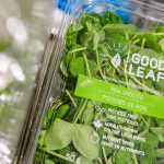 Iluminación LED de Signify ayuda a GoodLeaf Farms a aumentar su producción de alimentos