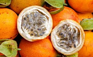 Ingreso de granadilla peruana a nuevos mercados internacionales