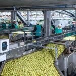  Inacal realizará “Economía Circular en el Sector Agroindustrial” el 30 de abril en La Libertad