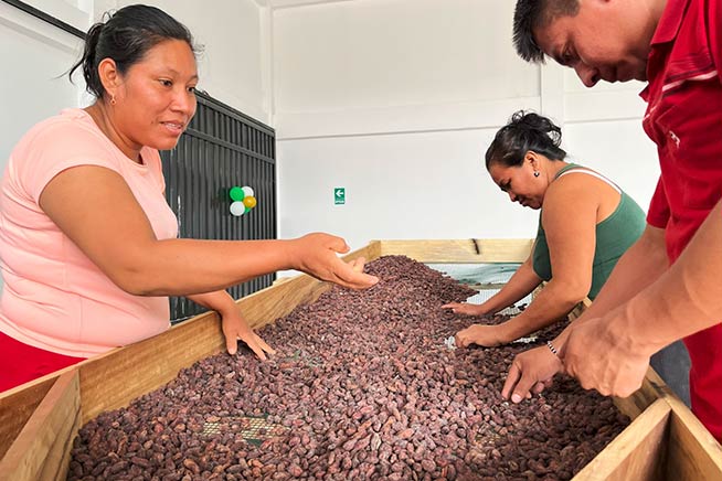 Perú se alista para exportar café y cacao sostenibles bajo reglamento europeo EUDR