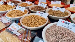 MIDAGRI realizará primer Congreso Peruano de Semillas para fortalecer la productividad agraria en el país