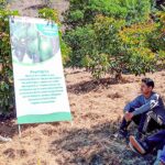 ProPALTA impulsa primera exportación de 21 toneladas de palta Hass de pequeños agricultores ayacuchanos