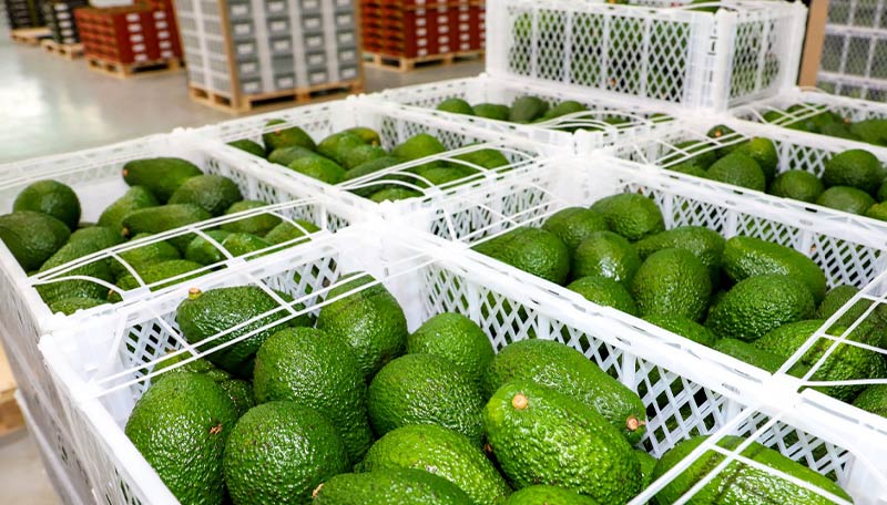 La nueva Ley Agraria y el reto de un segundo boom agroexportador en el Perú