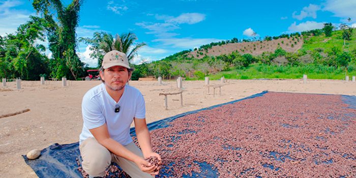 cacao-europa